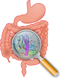 Bianca Enricone - Saúde Intestinal Versus Saúde Integral - Detox Kriyá - Foto Divulgação Bianca Enricone - Saúde Intestinal Versus Saúde Integral - Detox Kriyá - Foto Divulgação